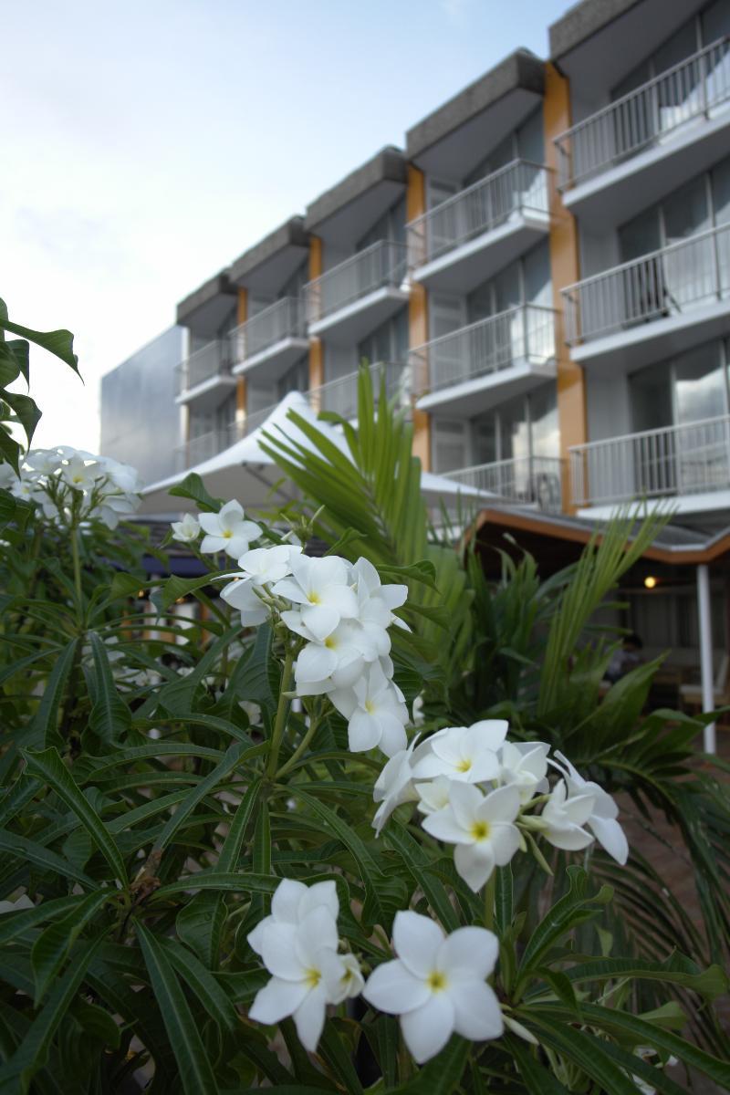 Radisson Hotel Paramaribo Ngoại thất bức ảnh